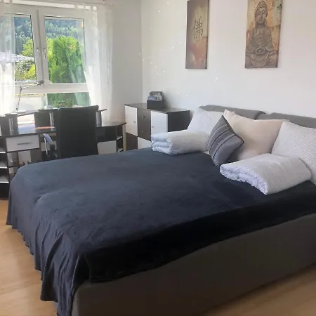 Penthouse Sonnberg *