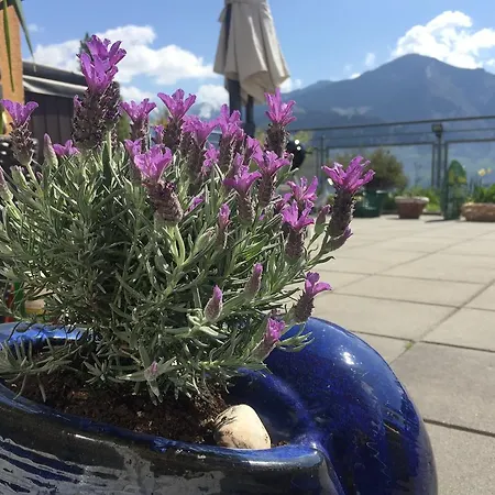 Lejlighed Penthouse Sonnberg