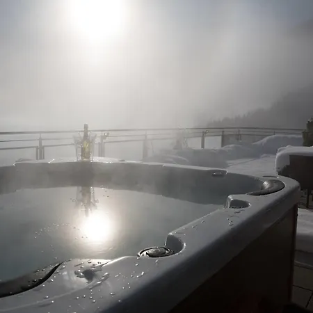 Appartement Penthouse Sonnberg *