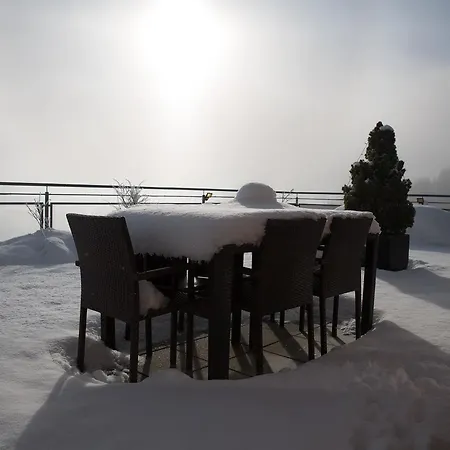 Penthouse Sonnberg Apartment Zell am See