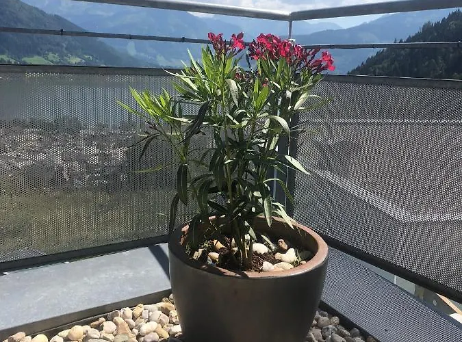 Lägenhet Penthouse Sonnberg