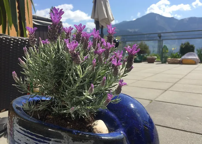 Apartment Penthouse Sonnberg