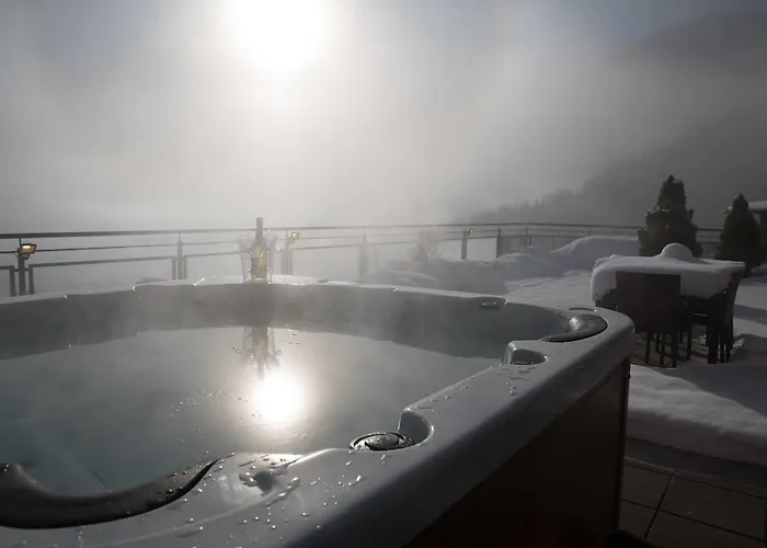 Lägenhet Penthouse Sonnberg *